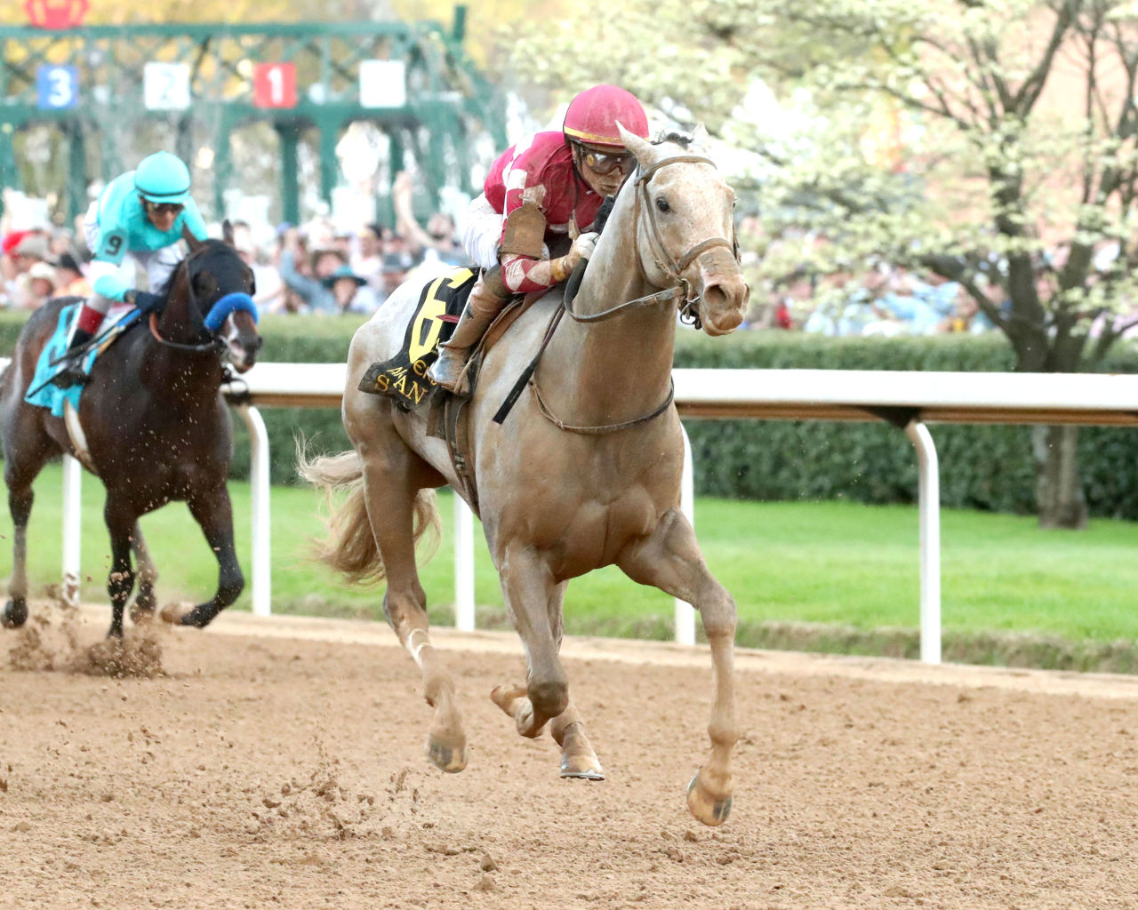 Sandman rolls in the Arkansas Derby