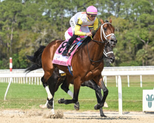 Skippylongstocking wins the Michelob Ultra Challenger Stakes at Tampa Bay Downs.
