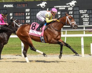 Skippylongstocking wins the Michelob Ultra Challenger Stakes at Tampa Bay Downs.