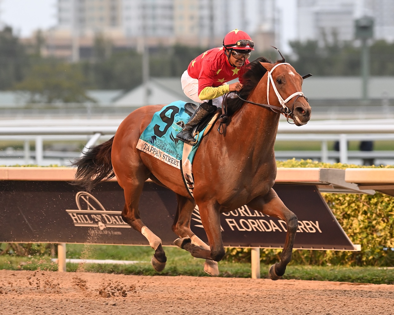 Tappan Street wins the Florida Derby at Gulfstream Park.