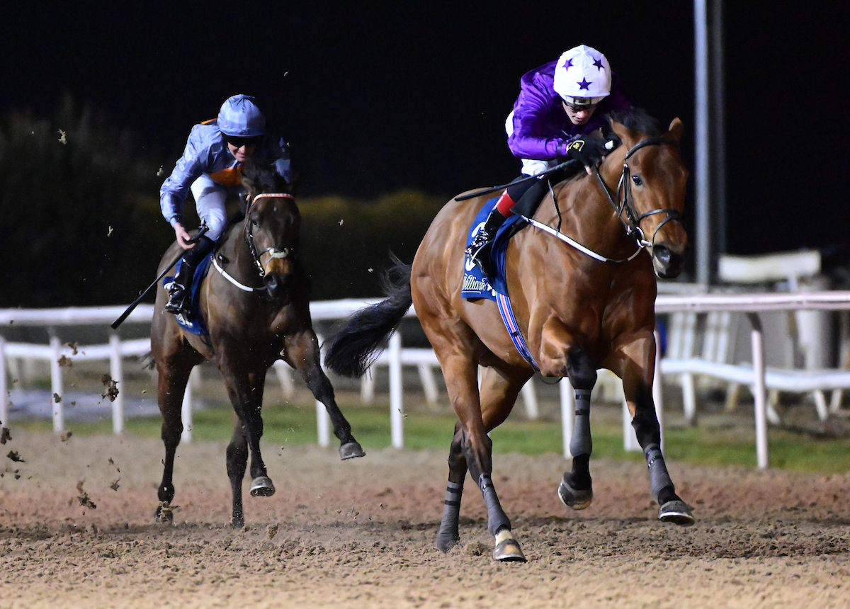 Titanium Emperor wins the Patton on debut