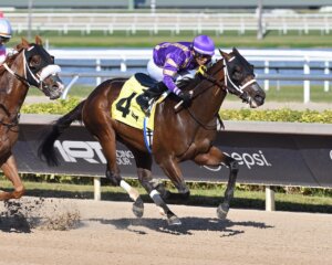 Bear Claw Necklace wins at Gulfstream Park.
