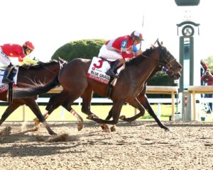 Burnham Square wins the Blue Grass.