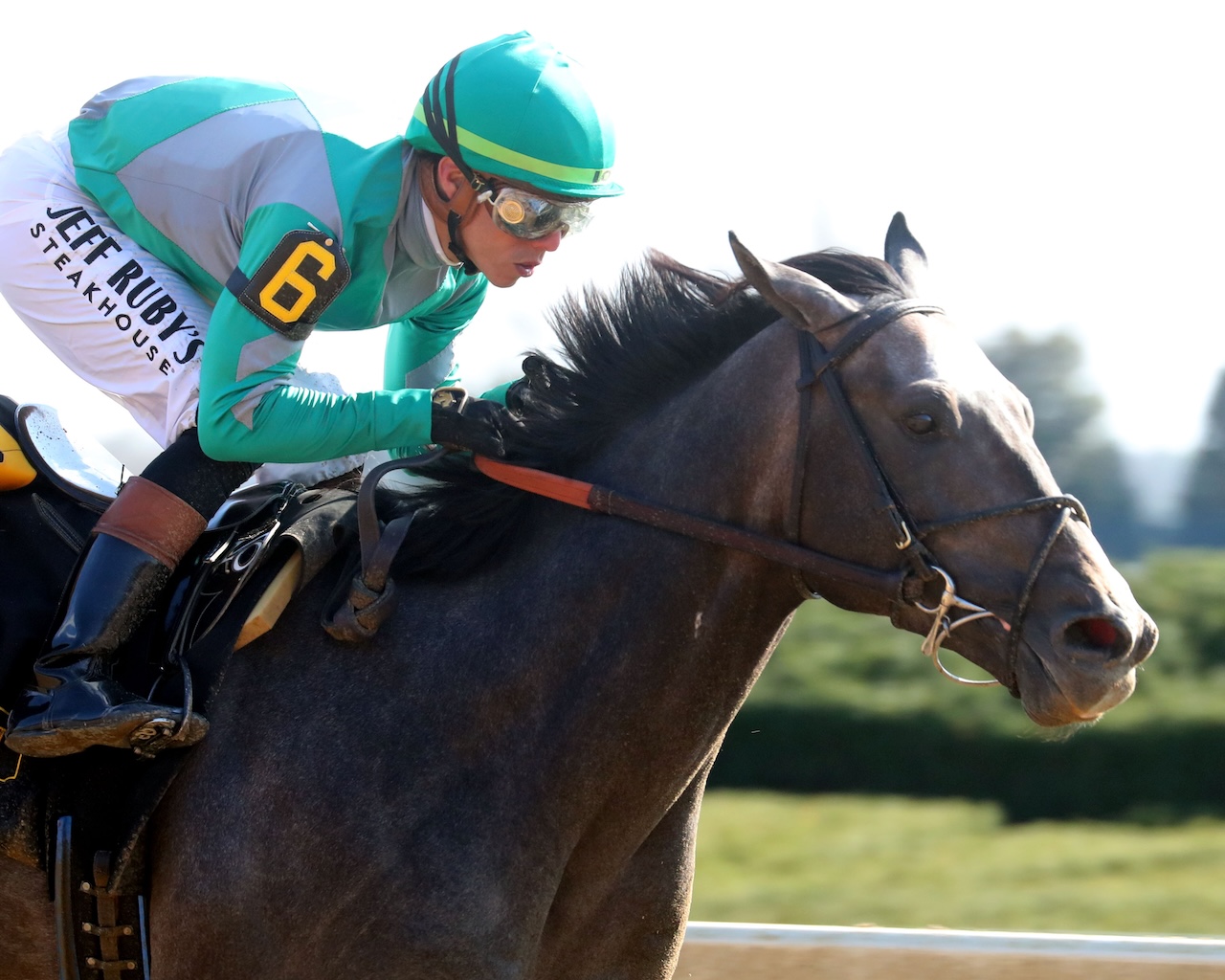 Gosger wins the Lexington Stakes at Keeneland.