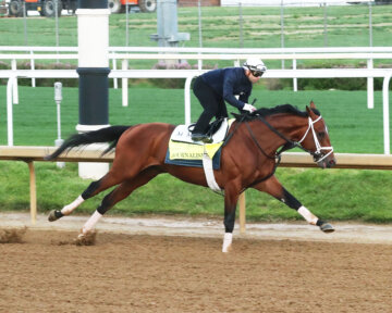 Journalism preparing for the Kentucky Derby at Churchill Downs.