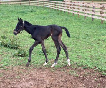 Rodriguez as a newborn
