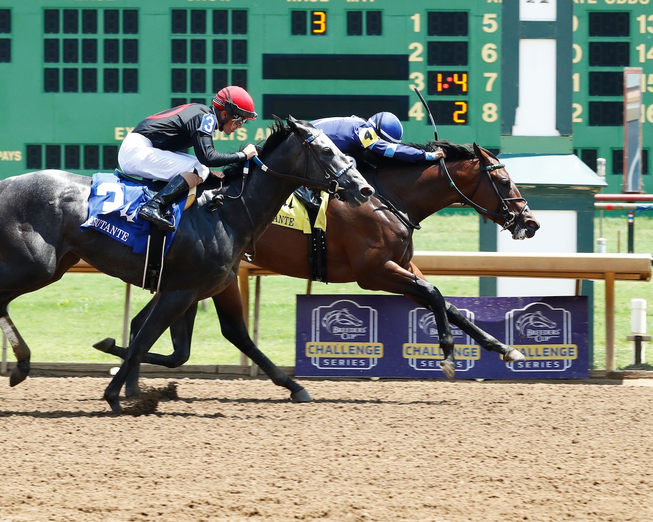 Study Guide: 2025 Winning Colors Stakes | News | Kentucky Derby