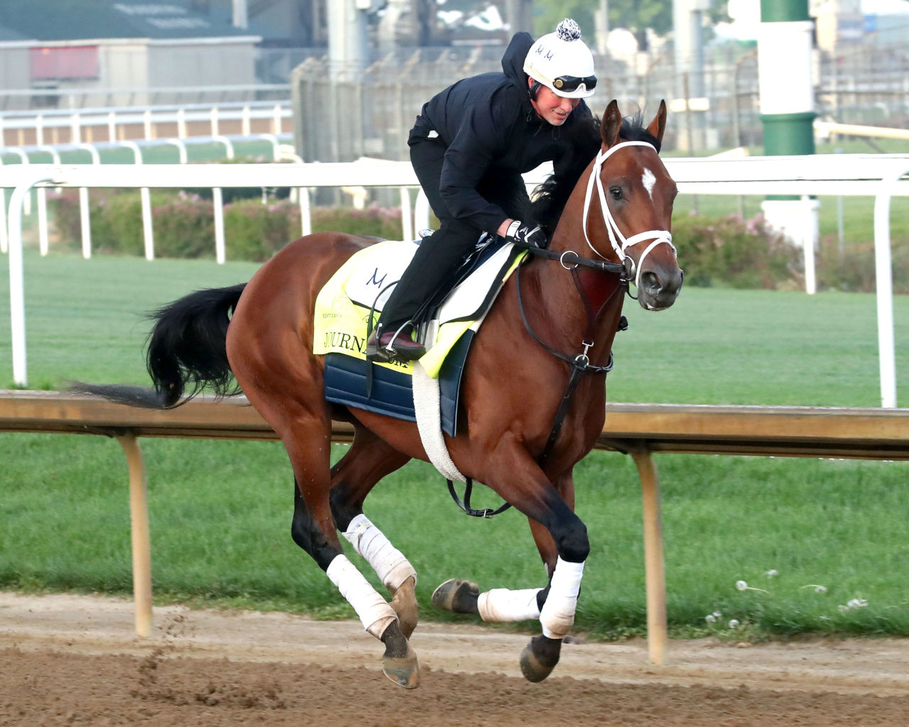 Journalism pictured training for the Kentucky Derby
