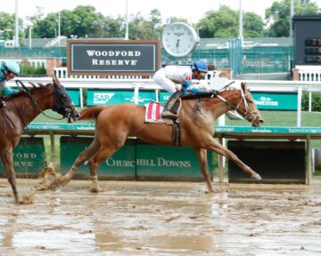 Strikingly Spun wins at Churchill Downs