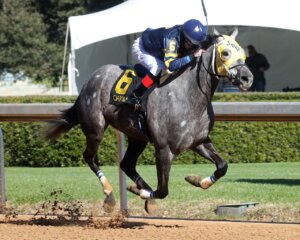 We Miss Arlington wins at Oaklawn Park. 