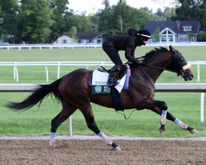 Baeza getting in a work ahead of the Belmont Stakes.