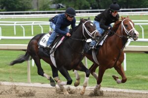 Crudo works ahead of Belmont S. at Saratoga.