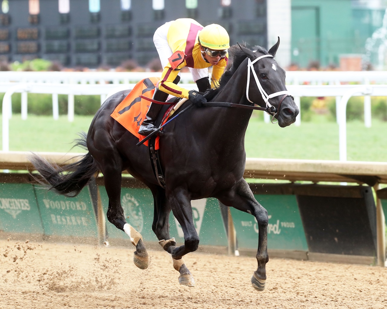 Emery wins the Leslie's Lady Overnight Stakes at Churchill Downs.