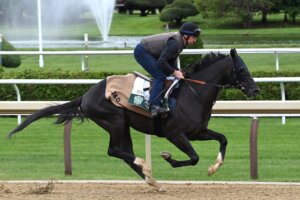 Heart of Honor works ahead of Belmont S. at Saratoga.