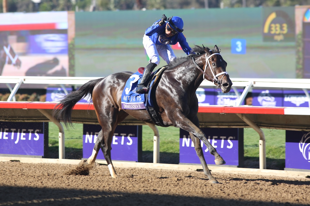 Immersive's win during Breeders' Cup.