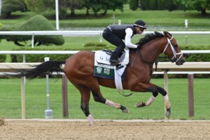 Journalism works ahead of Belmont S. at Saratoga.