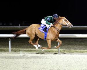 Minnesota Munny wins at Turfway Park. 
