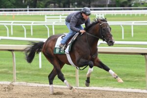 Sovereignty works before the Belmont Stakes at Saratoga.