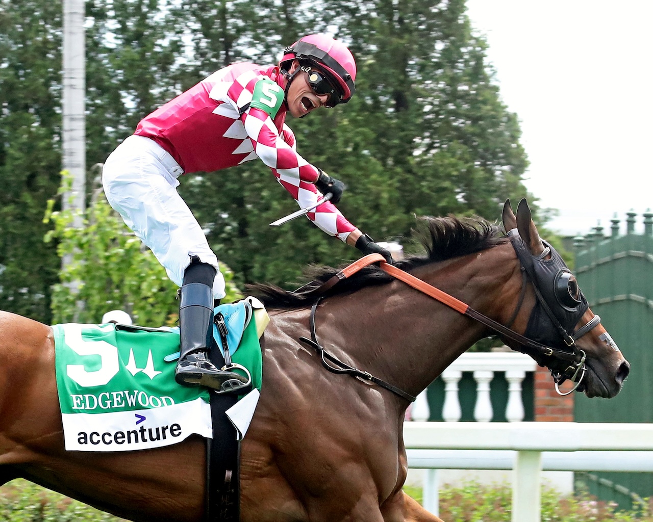 Nitrogen wins the Edgewood at Churchill Downs.