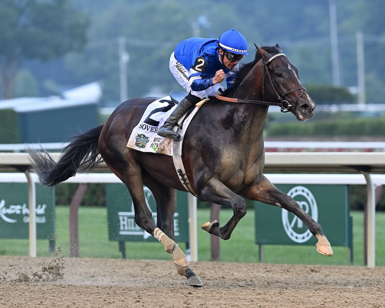 Sovereignty winning the Belmont