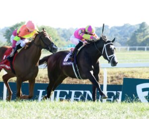Grand Sonata wins the Kentucky Turf Cup at Kentucky Downs.