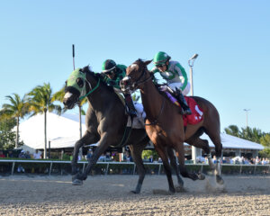 Lure Him In wins the Sunshine Classic.