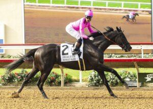 Midnight Mammoth and jockey Aramando Ayuso win the Cougar II Stakes, at Del Mar.
