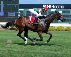 Runaway Storm wins at Horseshoe Indianapolis. 