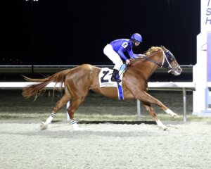 Atobelli wins at Turfway Park. 