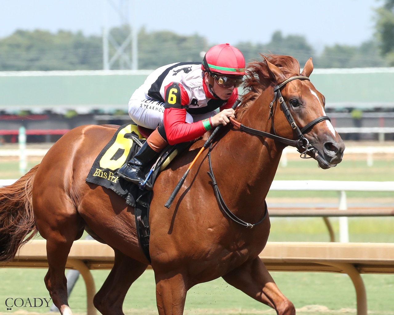 Comport wins the Ellis Park Juvenile