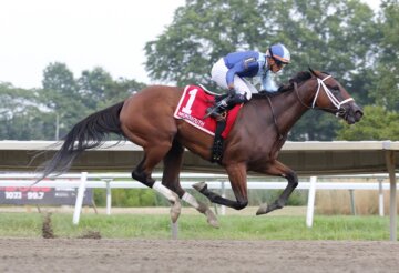 Dazzling Dame wins the Sorority