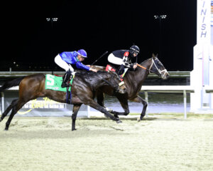 Prince Of Power wins at Turfway Park. 