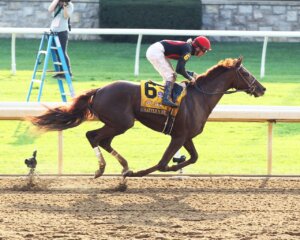 Rattle N Roll wins the Clairborne Breeders' Futurity at Keeneland.