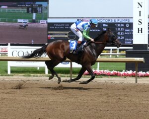 So Sandy wins at Horseshoe Indianpolis. 