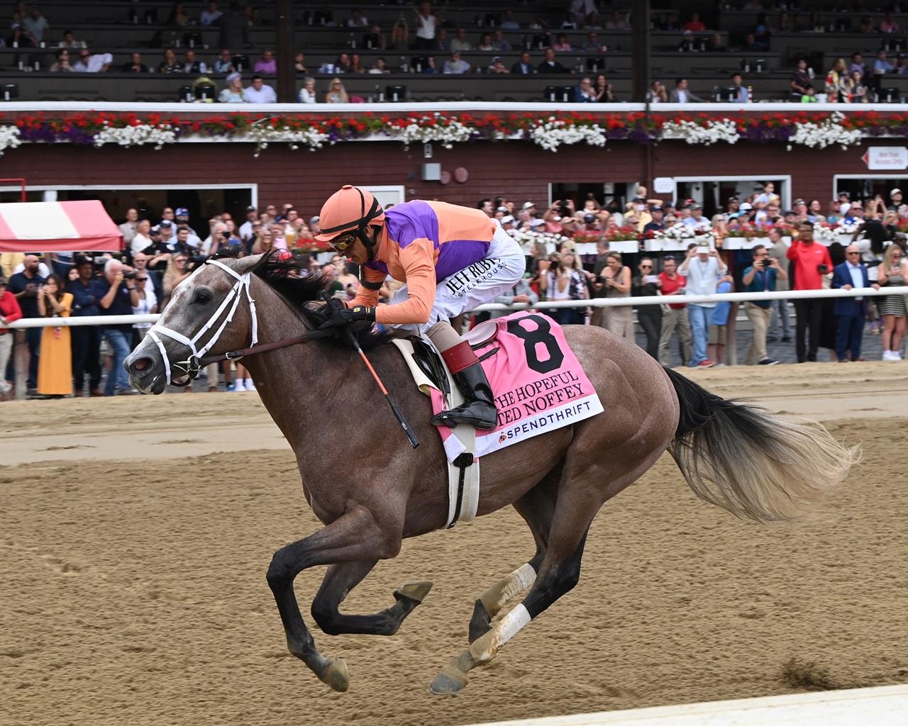 Ted Noffey romps in the Hopeful