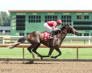 Vost wins at Ellis Park.