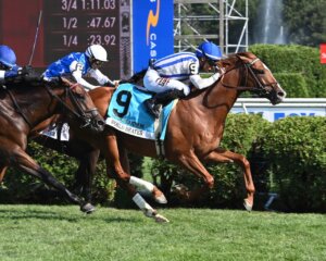 World Beater wins the Saratoga Derby at Saratoga.