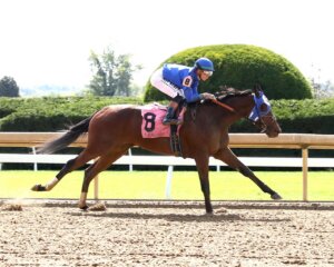 Bella Ballerina wins at Keeneland.