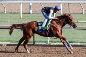 Boyd works in preparation for the Breeders Cup at Santa Anita Park.