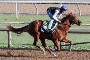 Boyd works in preparation for the Breeders Cup at Santa Anita Park.