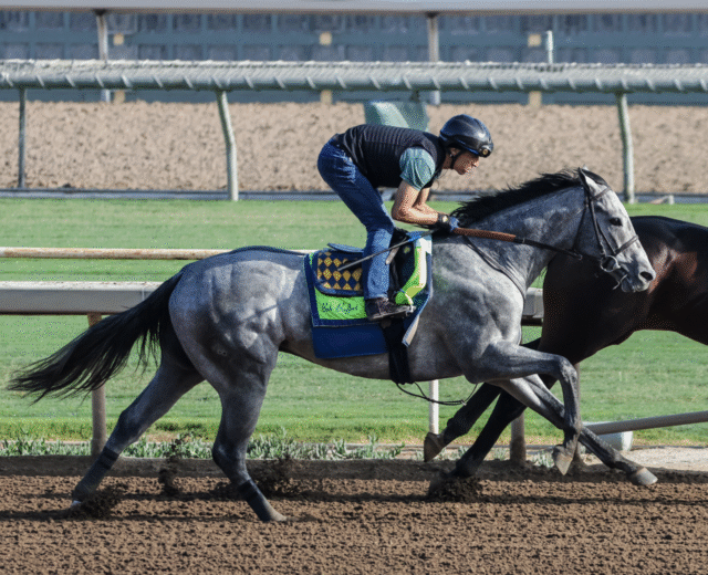 Brant training at Santa Anita, October 2025