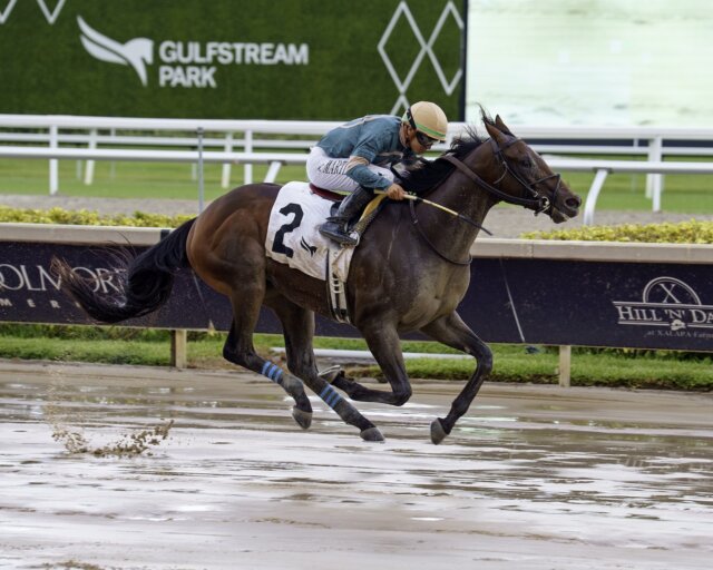 Diciassette wins the Proud Man at Gulfstream Park.