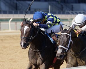 Iron Orchard wins the Frizette at Aqueduct.