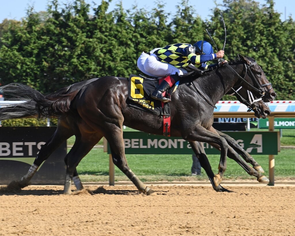 Iron Orchard wins the Frizette at Aqueduct.