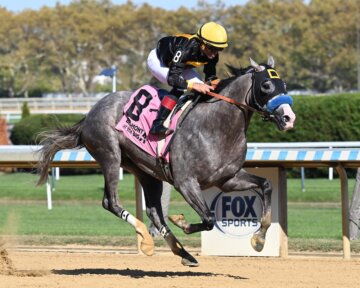 Napoleon Solo wins the Champagne Stakes at Aqueduct.