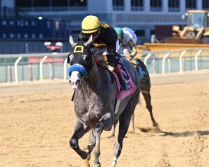 Napoleon Solo wins the Champagne Stakes at Aqueduct.