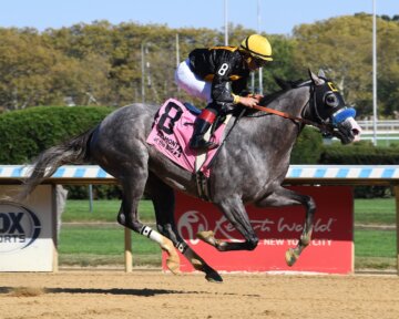 Napoleon Solo wins the Champagne Stakes at Aqueduct.