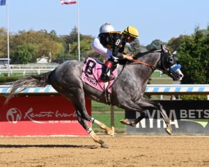 Napoleon Solo wins the Champagne Stakes at Aqueduct.