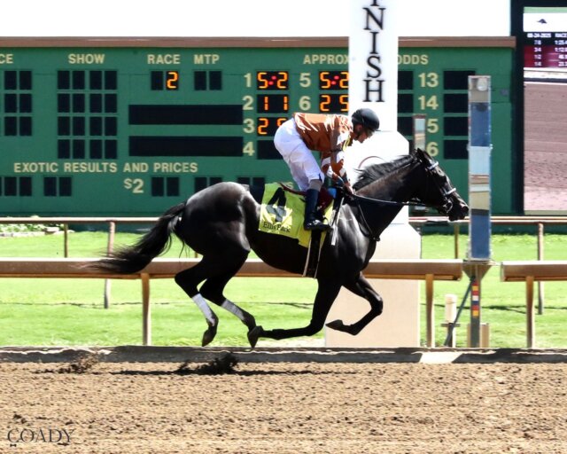 The Grumpy Rabbit wins at Ellis Park.
