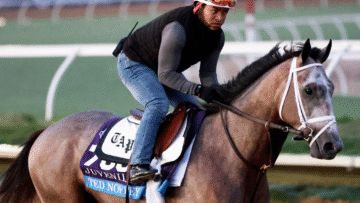 Ted Noffey trains for the Breeders' Cup at Del Mar (Photo by Horsephotos.com)